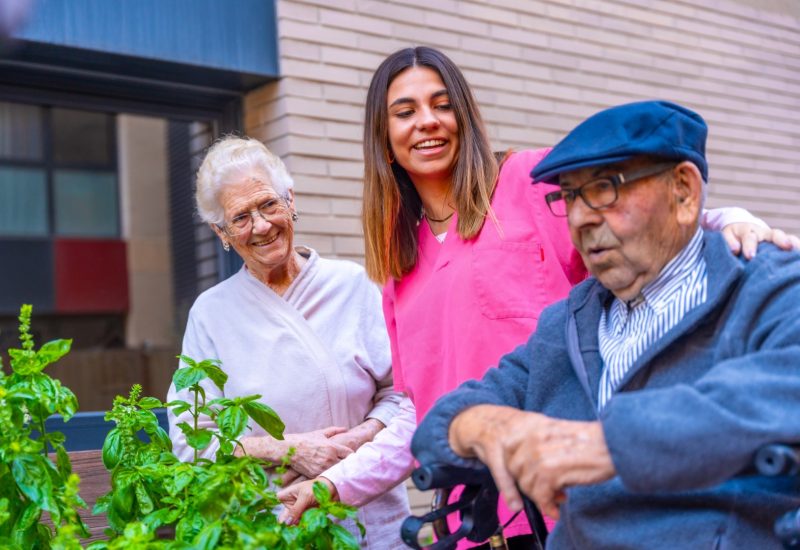 Nurse and seniors in a vegetable garden in a nursing home